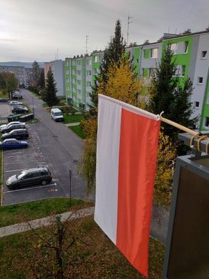 Maciej04177718's profile picture. Dziadek-badacz