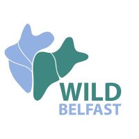 Wild Belfast (@wildbelfast) 's Twitter Profile Photo Wild Belfast (@wildbelfast) 's Twitter Profile Photo