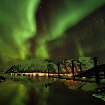 Haziran41356558's profile picture. 