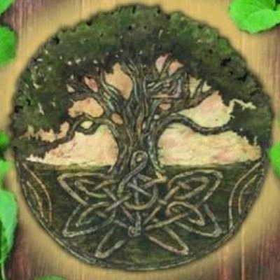 3XOG3's profile picture. Just you local friendly neighbourhood average joe posting all kinds of interesting media from shocking to beautiful to even bizarre for others to see!