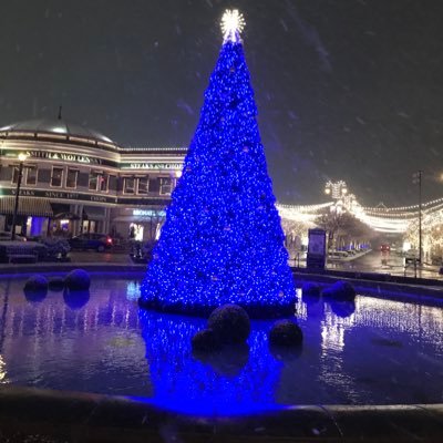 wvuwolf's profile picture. 