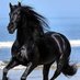 CABALLO NEGRO 1 (@EXBIR1) Twitter profile photo