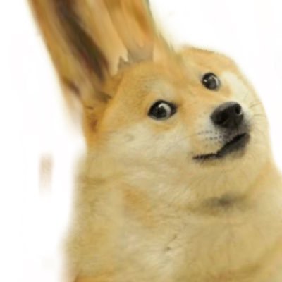 ChungerDog's profile picture. CHUNG TO THE MOON