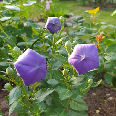 AgaD35552441's profile picture. 