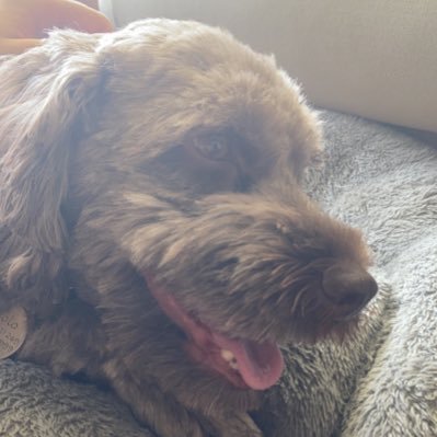 Velj_'s profile picture. 