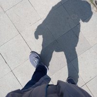 Ambone (@_dibb22) 's Twitter Profile