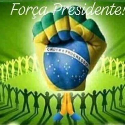 Católico, Corinthiano, Bolsonarista, Filho de Maria. Se não for Bolsonaro 200% , suma daqui !!!