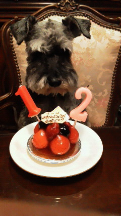 koueng's profile picture. 医師 13年目/foo figters/the verve (bitter sweetsymphony ) / kreva/etc･･･ 最近はedm/marvel/mcu /ジム通い/筋トレ/サッカー