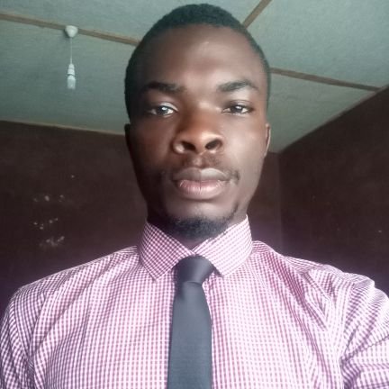 I am Emmanuel S. Omirin. I work as a research assistant at molecular biology and simulations (Mols & Sims) Centre, Ado Ekiti, Nigeria.