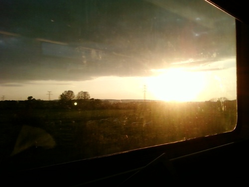 FlorianeGula's profile picture. Disciple du Savoir & de la Sagesse, citoyenne du Monde, militante pour la légalisation de l'Intelligence, ayant une Eglise avec pour voûte celle des arbres.