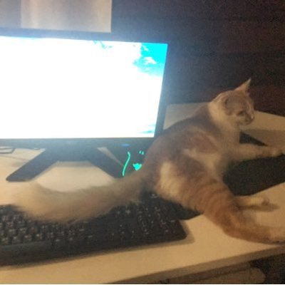 LDLC lover, Vitality and The Dice fan boy !!! Joueur casu et streamer à temps partiel!