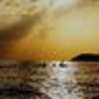 fbis_fbi_agent (@fbifbis) 's Twitter Profile