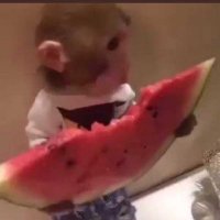Fiendin (@bazedv) 's Twitter Profile