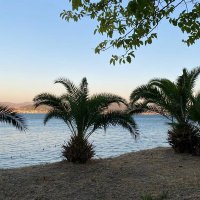 Yücel (@yucellgnc) Twitter profile photo