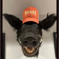 Patrick Downes (@pdownes51) 's Twitter Profile