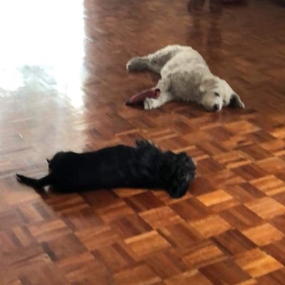 Purpleraingal's profile picture. ⚥⚤ ♕♔ 𓂀 Queen of Pentacles III.IV.MCMLXXIV