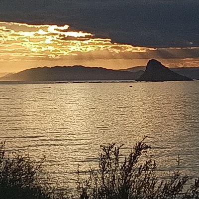 sa14_jean's profile picture. République, Europe, Écologie et Laïcité sont mes valeurs. La radicalité m'horripile car elle est porteuse de haine et d'affrontements. Ni RN Ni LFI NI Z