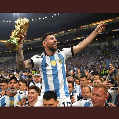 picomorixe's profile picture. 