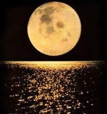 StarsMoonLover's profile picture. 