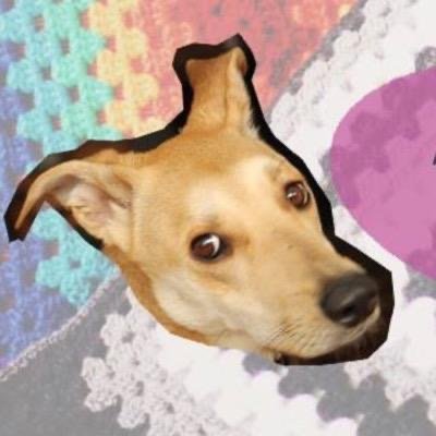 La Suru es la mejor perrito tatita del universo, comprobado por el INTA y la FDA. Yo? nimporta. 🧚🏻♀️ tejidos en @holasururu