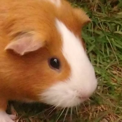 I'm a GD creator / Gm / Your support is really appreciated.