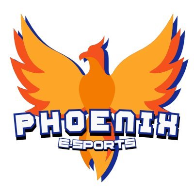 PhoenixTeam_GG Profile Picture