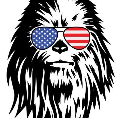 🇺🇸 Patriot Wookiee NOT Woke-ee! 🇺🇸 
🛸 Suspected Spice Smuggler & Rebel Scum 🏴‍☠️
• IFB🇺🇸 • SDV🇧🇷 • JC✝️
💧 (MyTwitterName) 4t sk!ff d0t c0m 💧