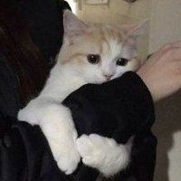 ريمي /دعواتكم لأبوي وامي بالرحمه 💔 (@rymy_ksa) 's Twitter Profile