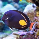 Brett shriver - @brshriver - Twitter