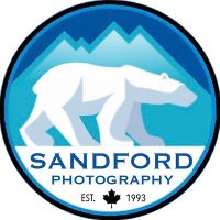 🐻‍❄️ Dave Sandford 🦌(@Dave_Sandford) 's Twitter Profile Photo