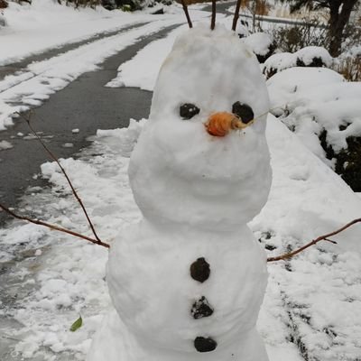 mitsumayu2's profile picture. アイコンは手作りオラフです！