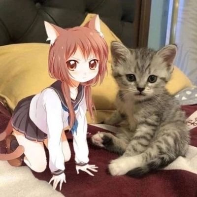 mewmeowmiao Profile Picture