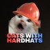 catswithhardhats (@catswithhardhat) Twitter profile photo