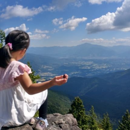 PLUSTOKEN_'s profile picture. 