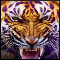 Ed Cassel (@mred97) 's Twitter Profile