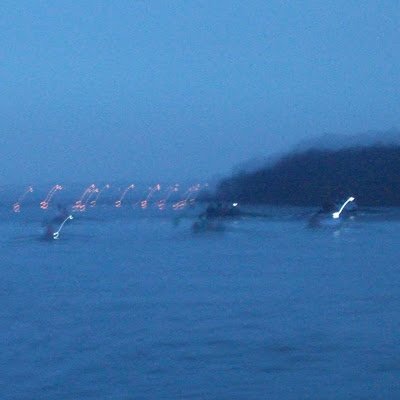 DanPott18250227's profile picture. 