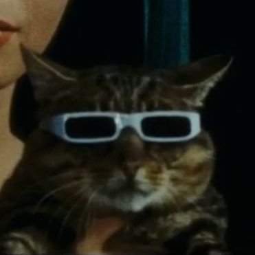 account dedicated to cats that appear in movies and series 🐈⬛