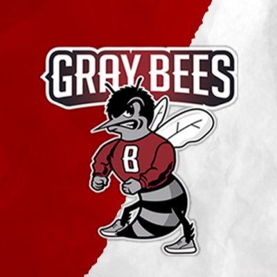 GraybeeHoops Profile Picture