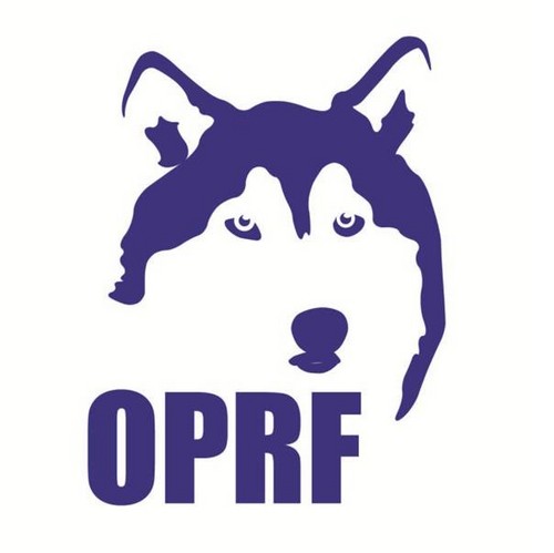 OPRFBoosters's profile picture. 