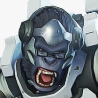 Gorilla Brain-Rot!(@V_hyena) 's Twitter Profile Photo