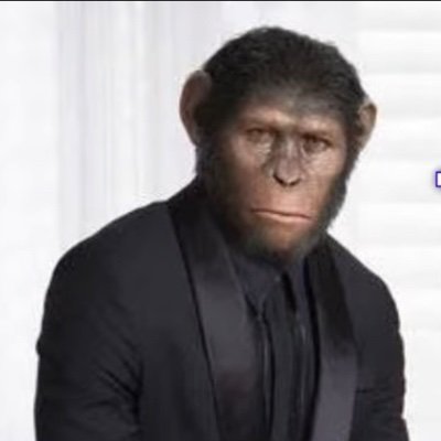 Monke in suit funny