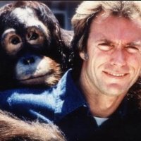 Andrew Taylor (@smh_andrew) 's Twitter Profile