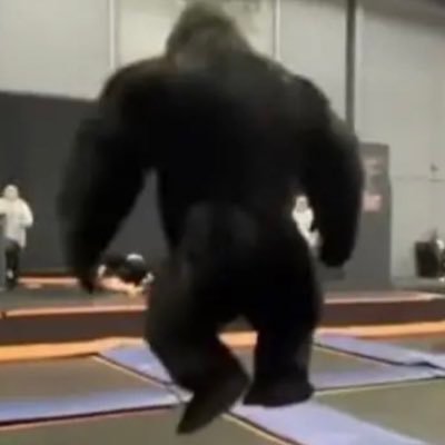 gokartさんのプロフィール画像