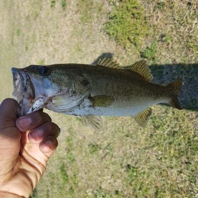 Codkidplays1's profile picture. 