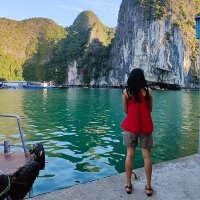 Gunjan (@gunjan_tank) 's Twitter Profile
