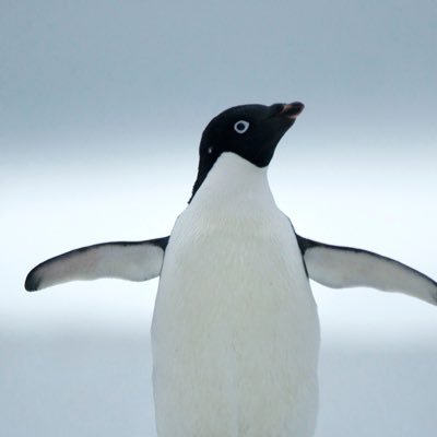 Coder_lifez's profile picture. Computers, operating system, artificial intelligence, programming languages…