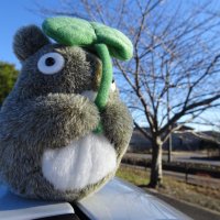 にっちゃん (@love_1taft2) Twitter profile photo