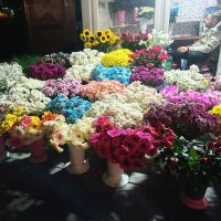 hazretimelek (@mahsenerr) Twitter profile photo