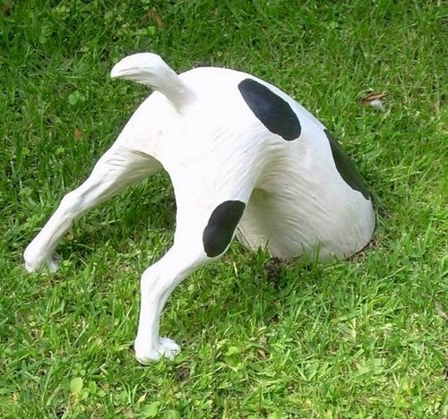 permalosa e stronza ma gentile