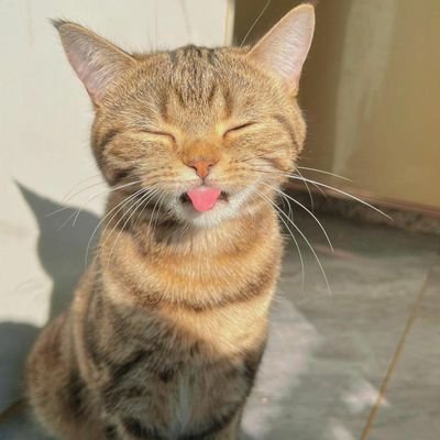 вαвє αятємιѕ • Profile